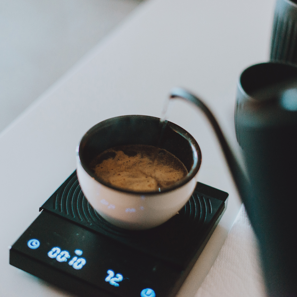 Beyond Tasting 101 : Basics to Sensory