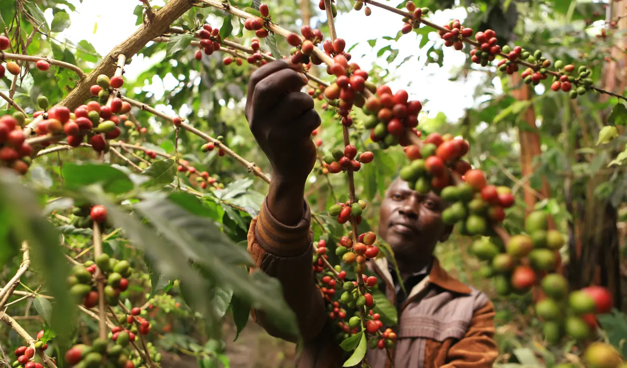 Our Coffee Purchasing Ethos