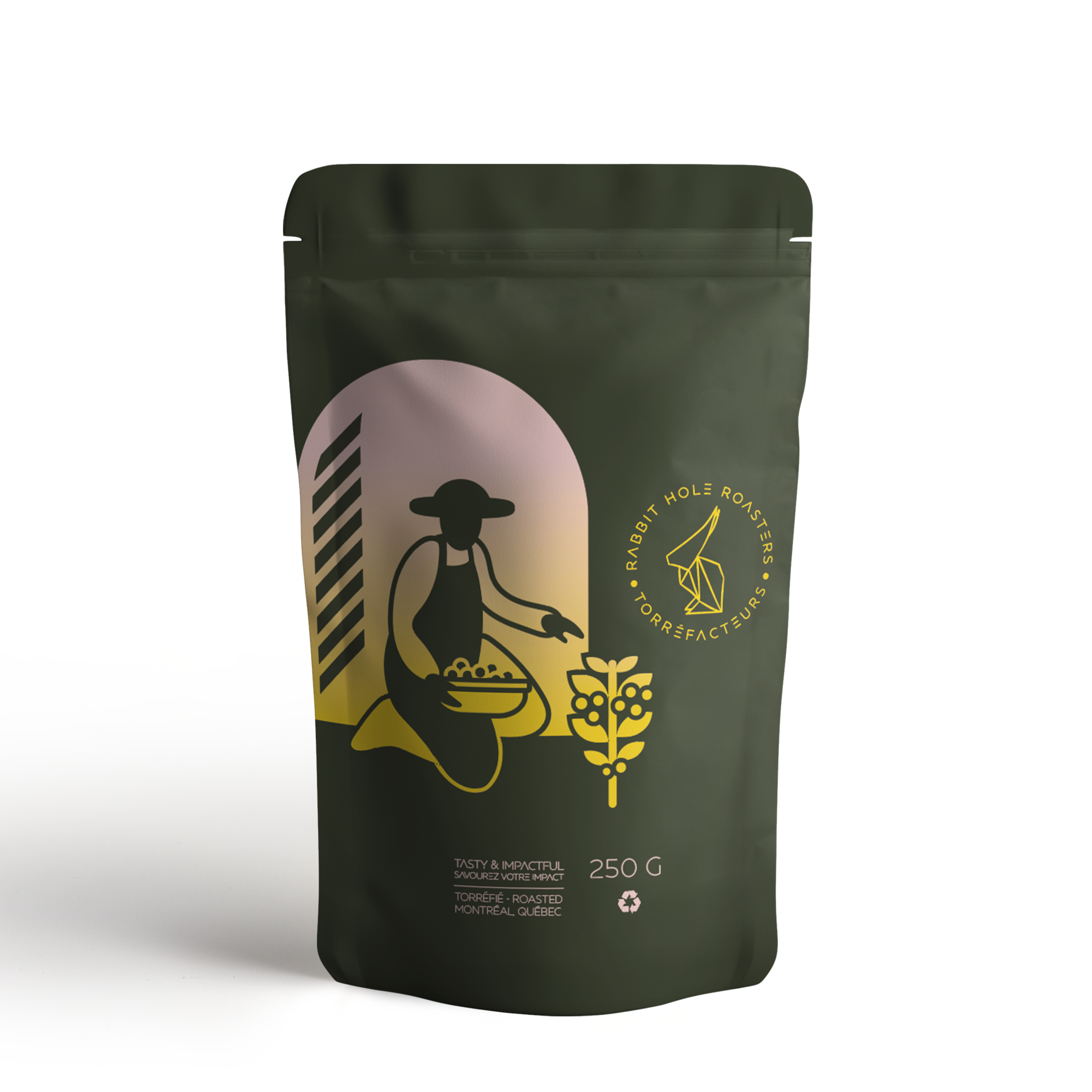 Luis Roldan - Yellow Catuai